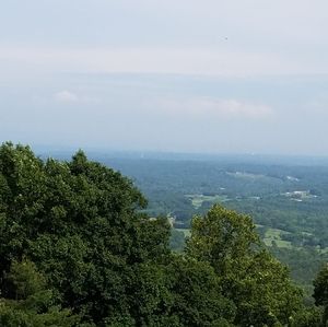 Meet your Posher, Elly